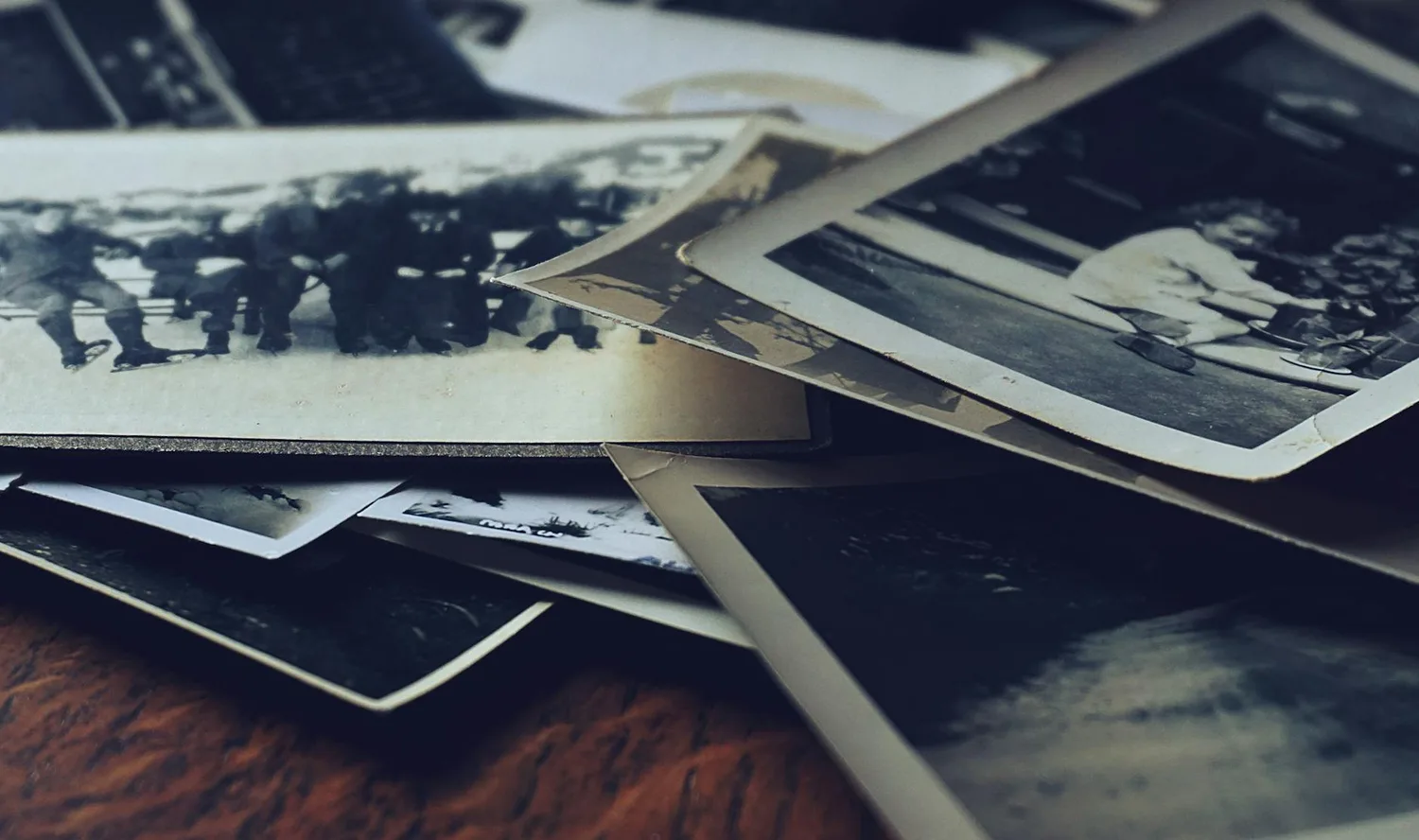Récupérer une photo dans la corbeille : 4 méthodes simples