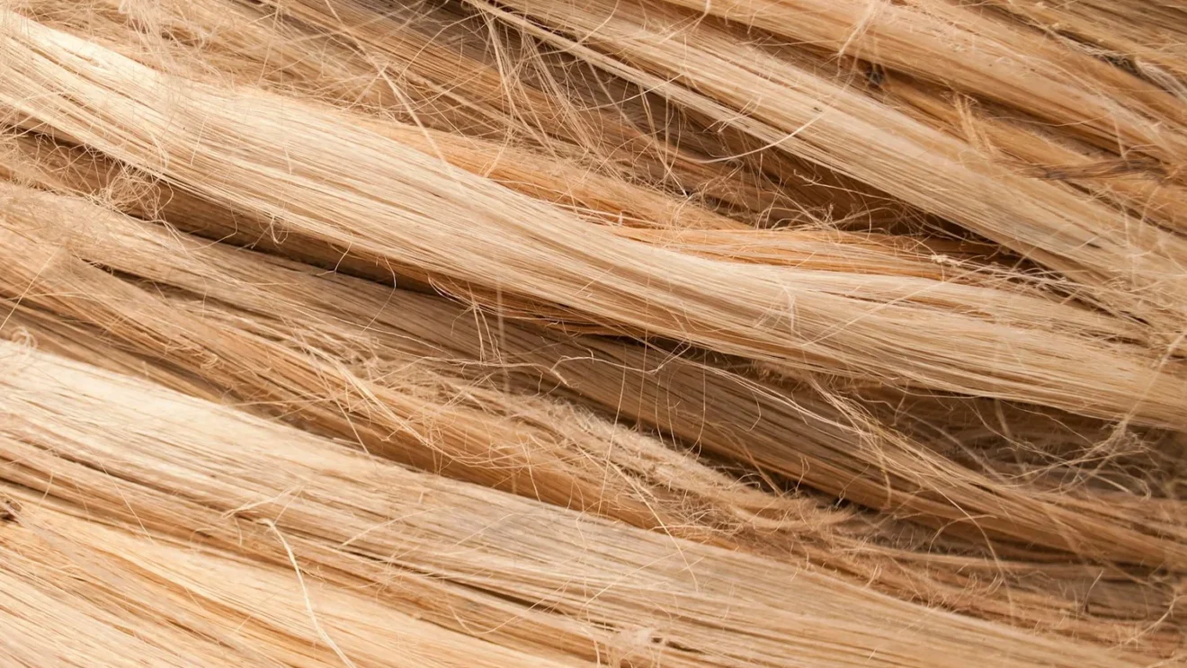 DegroupTest fibre : comment vérifier votre éligibilité et votre débit en 2026