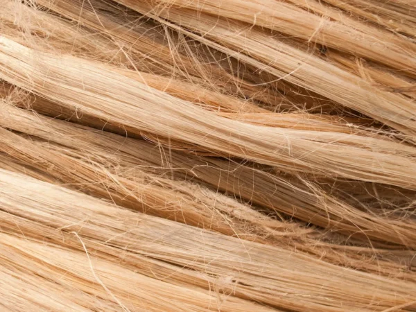 DegroupTest fibre : comment vérifier votre éligibilité et votre débit en 2026